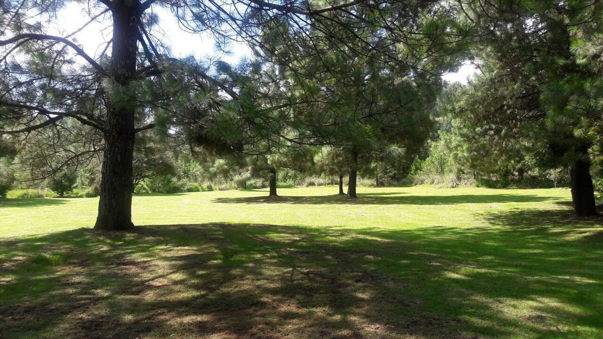 7 de 48: Varias fotos del hermoso jardín que rodea la propiedad.