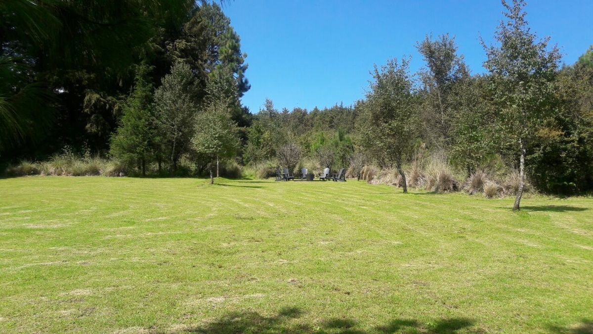 8 de 48: Espacio para meditar leer, ser parte de la naturaleza