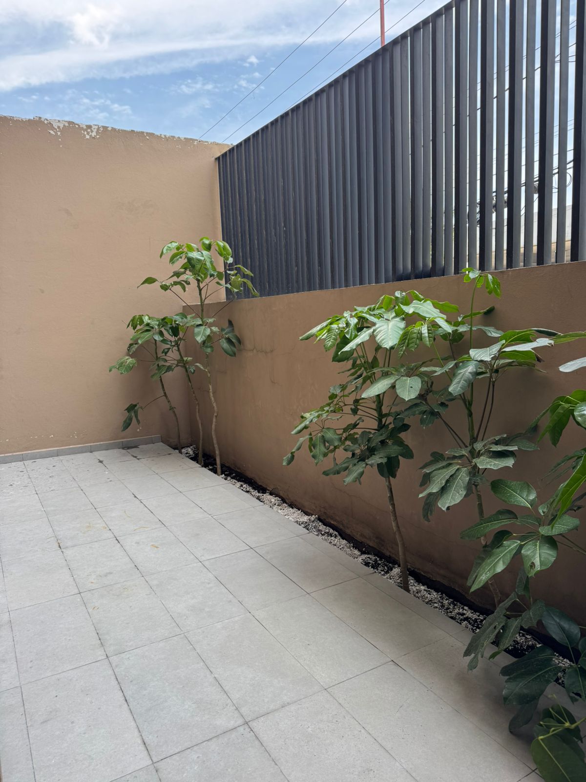3 de 13
