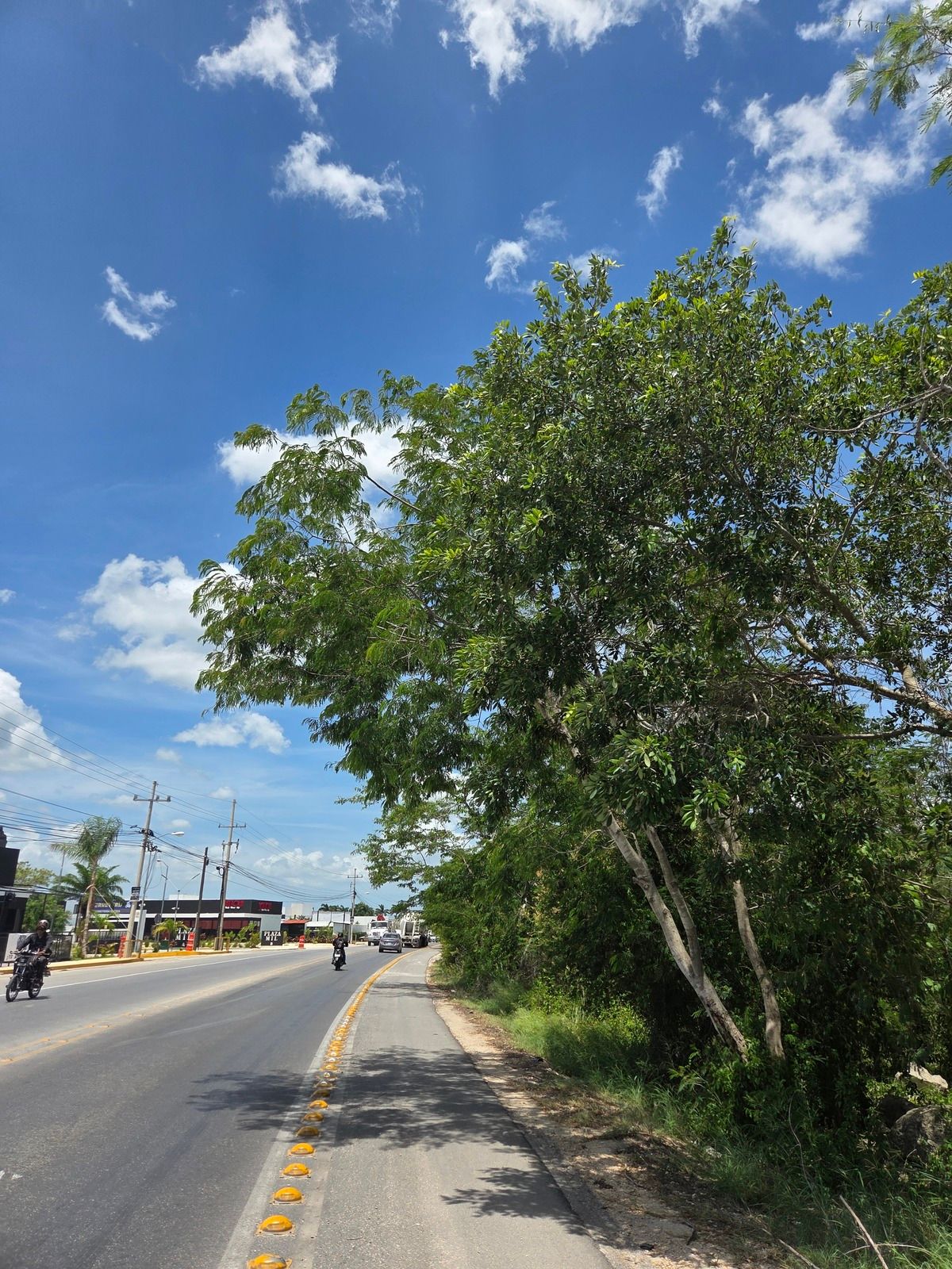 Terreno en avenida en Dzitya - foto 2