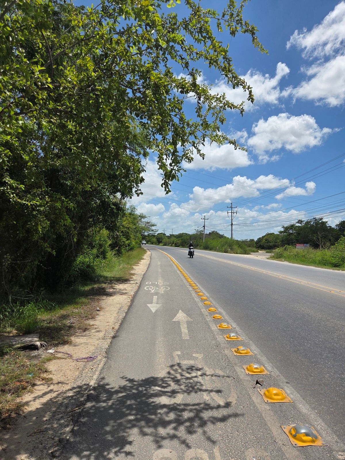 Terreno en avenida en Dzitya - foto 3