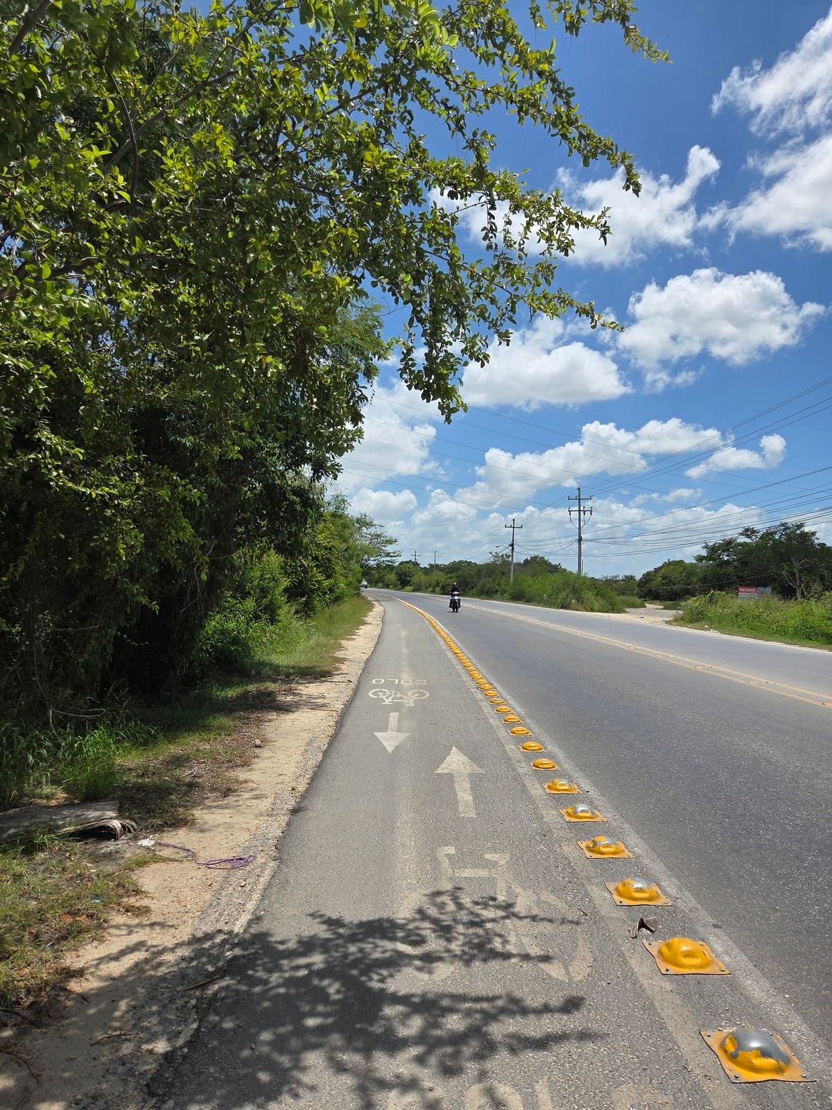 Terreno en avenida en Dzitya - foto 4