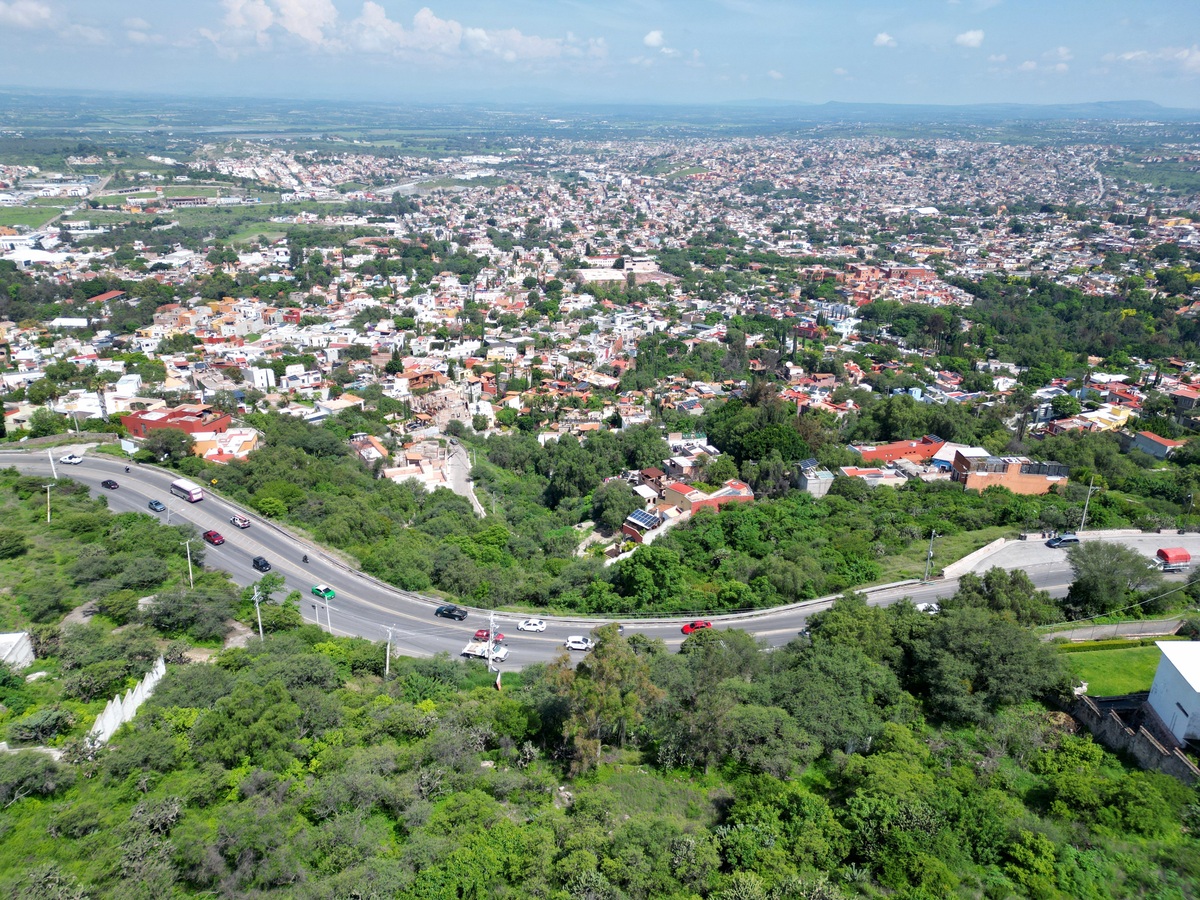 6 de 12