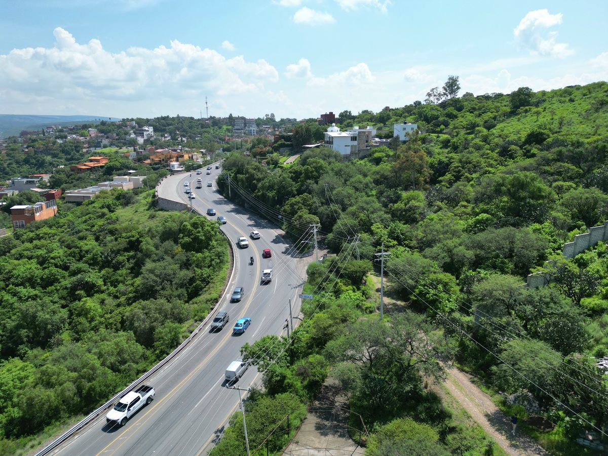 7 de 12