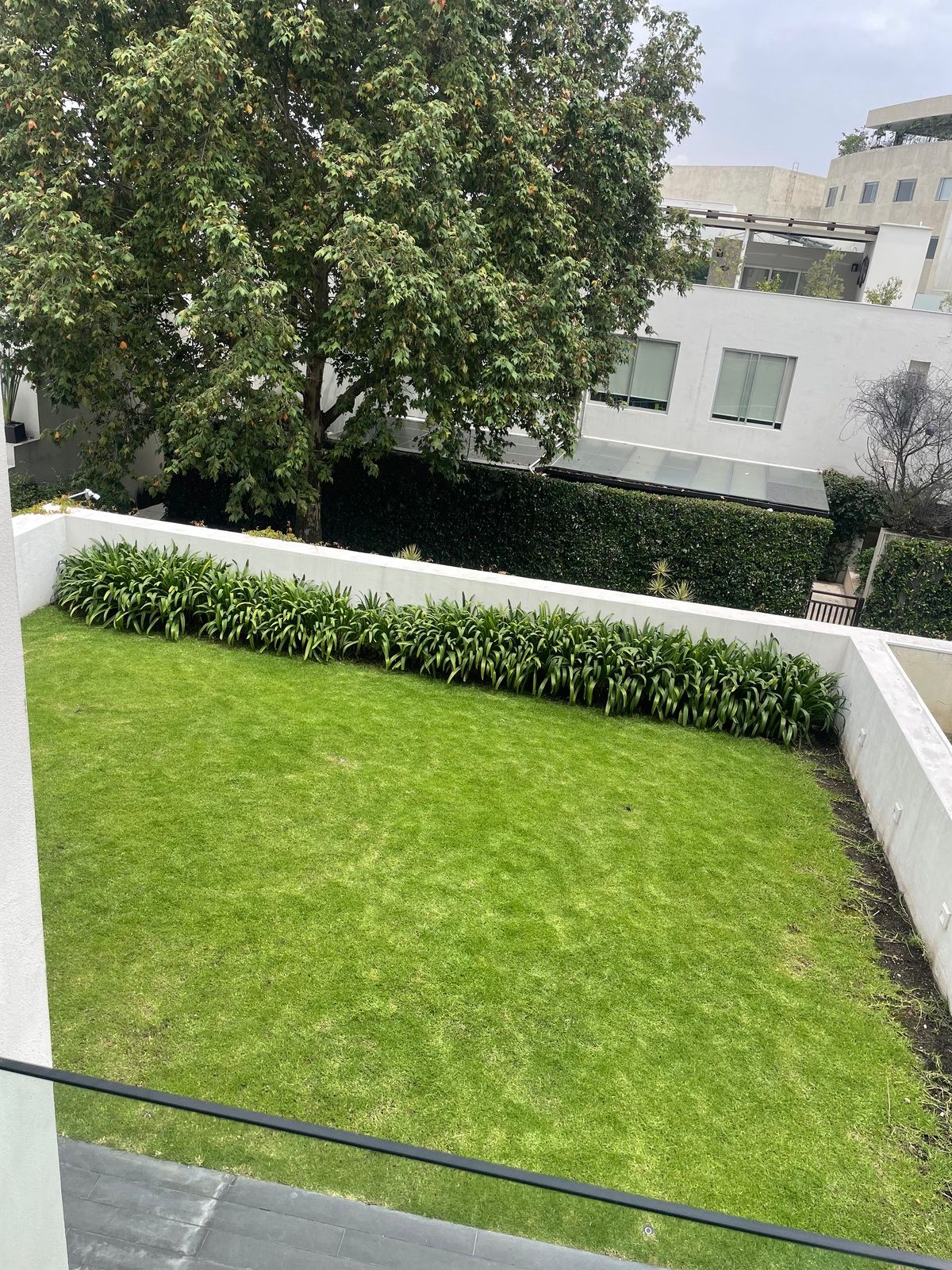 7 de 41: Jardín casa