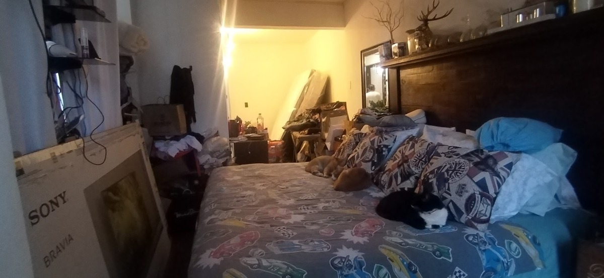 3 de 4