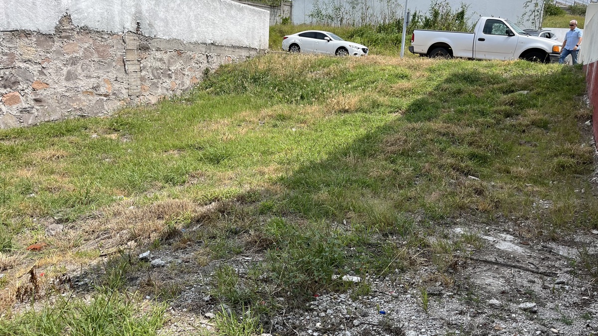 4 de 12
