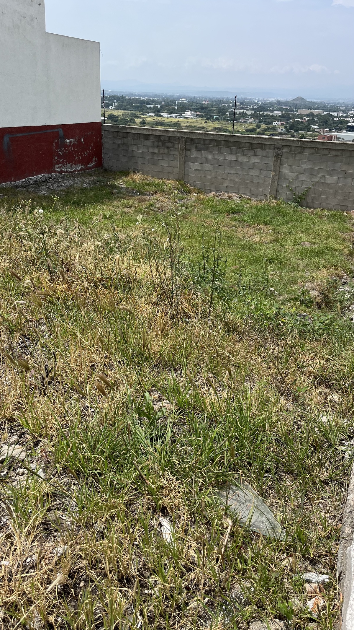 2 de 13