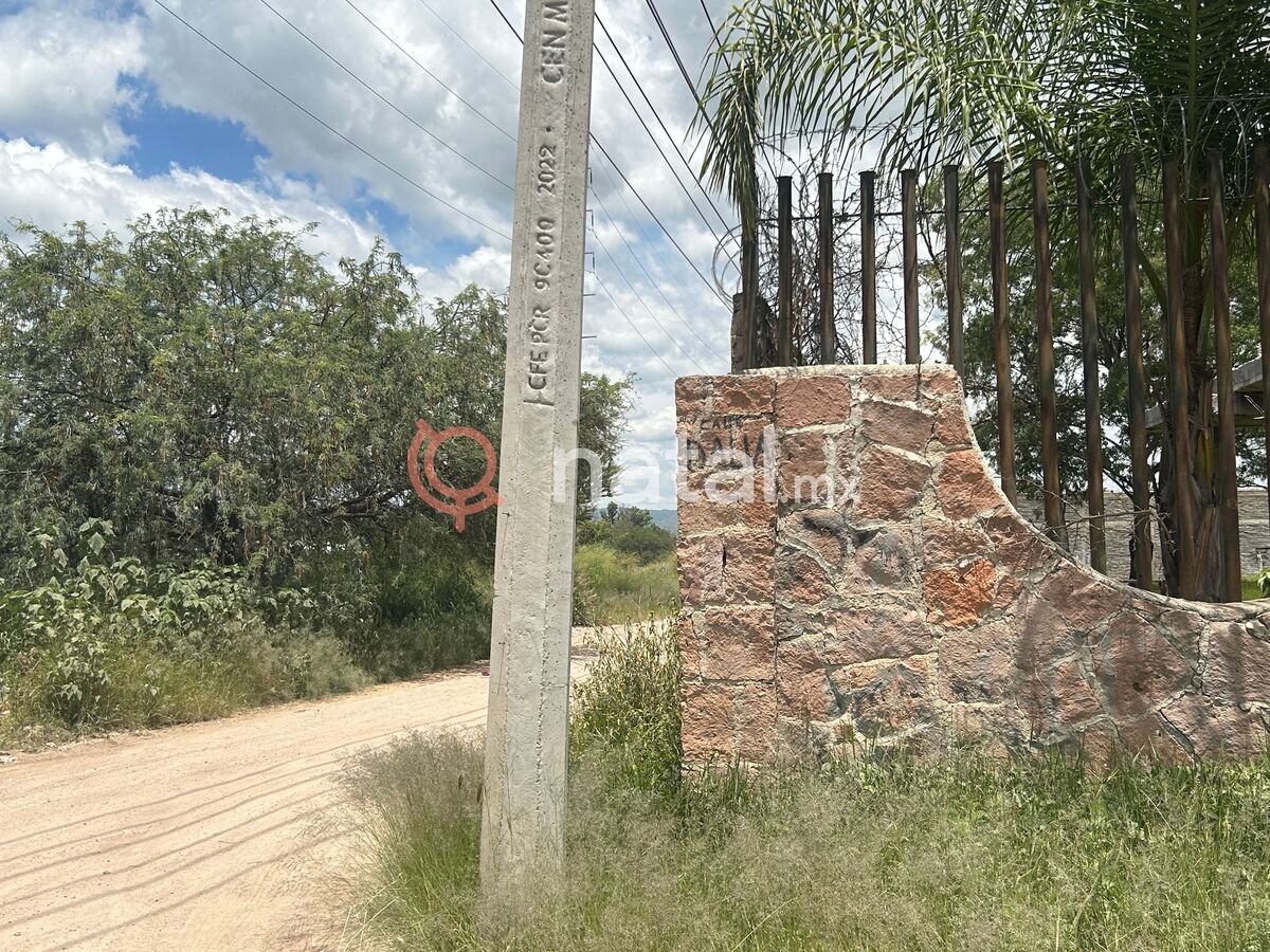 3 de 11