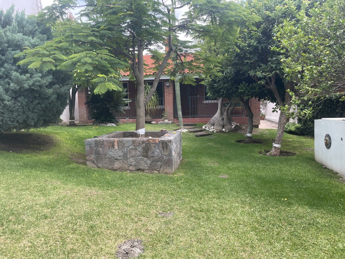 12 de 13