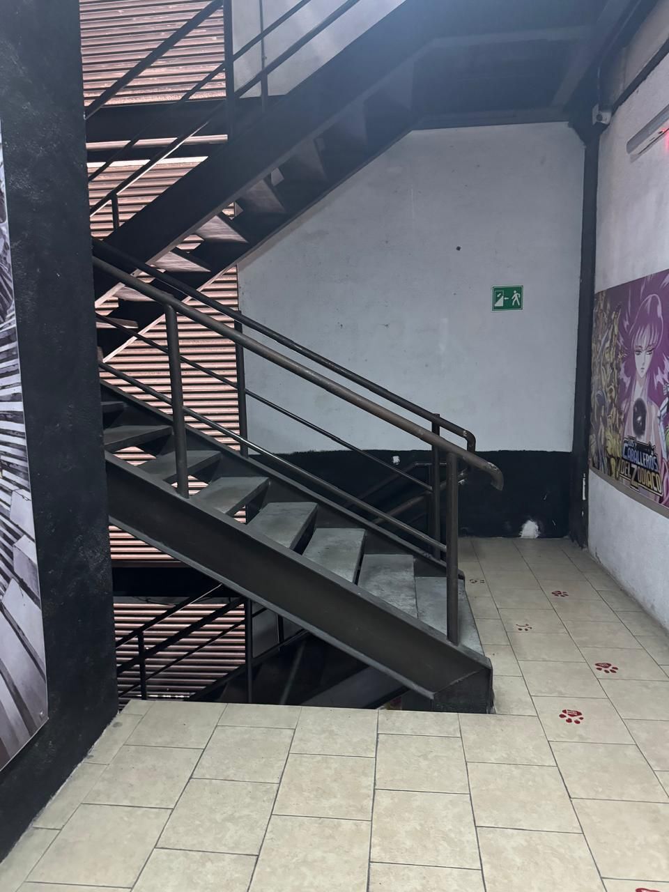 5 de 11