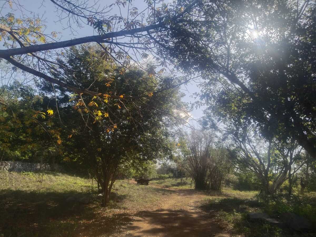 7 de 9