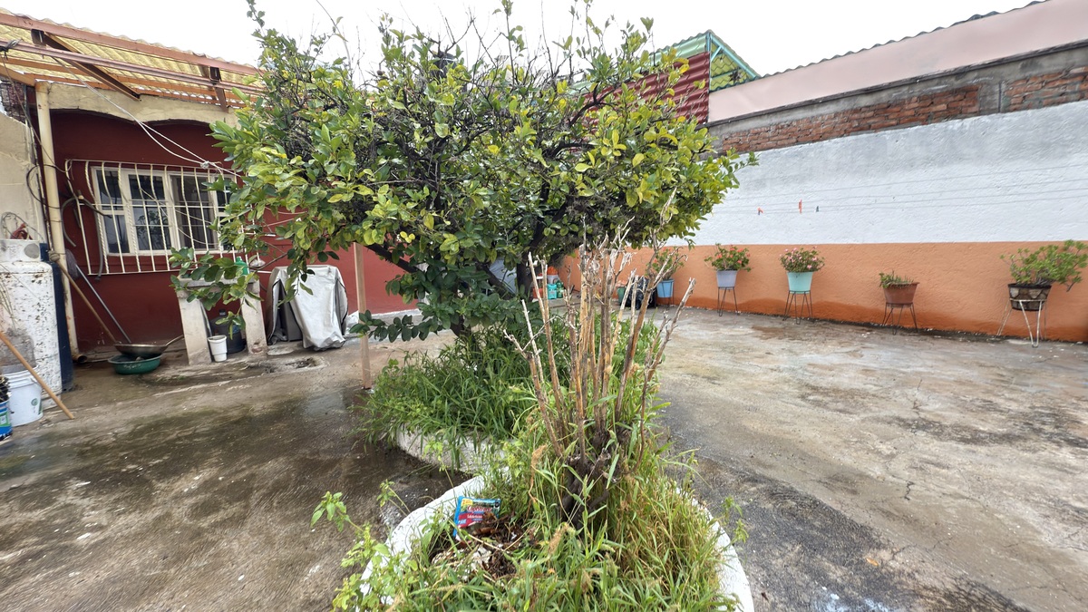 7 de 18