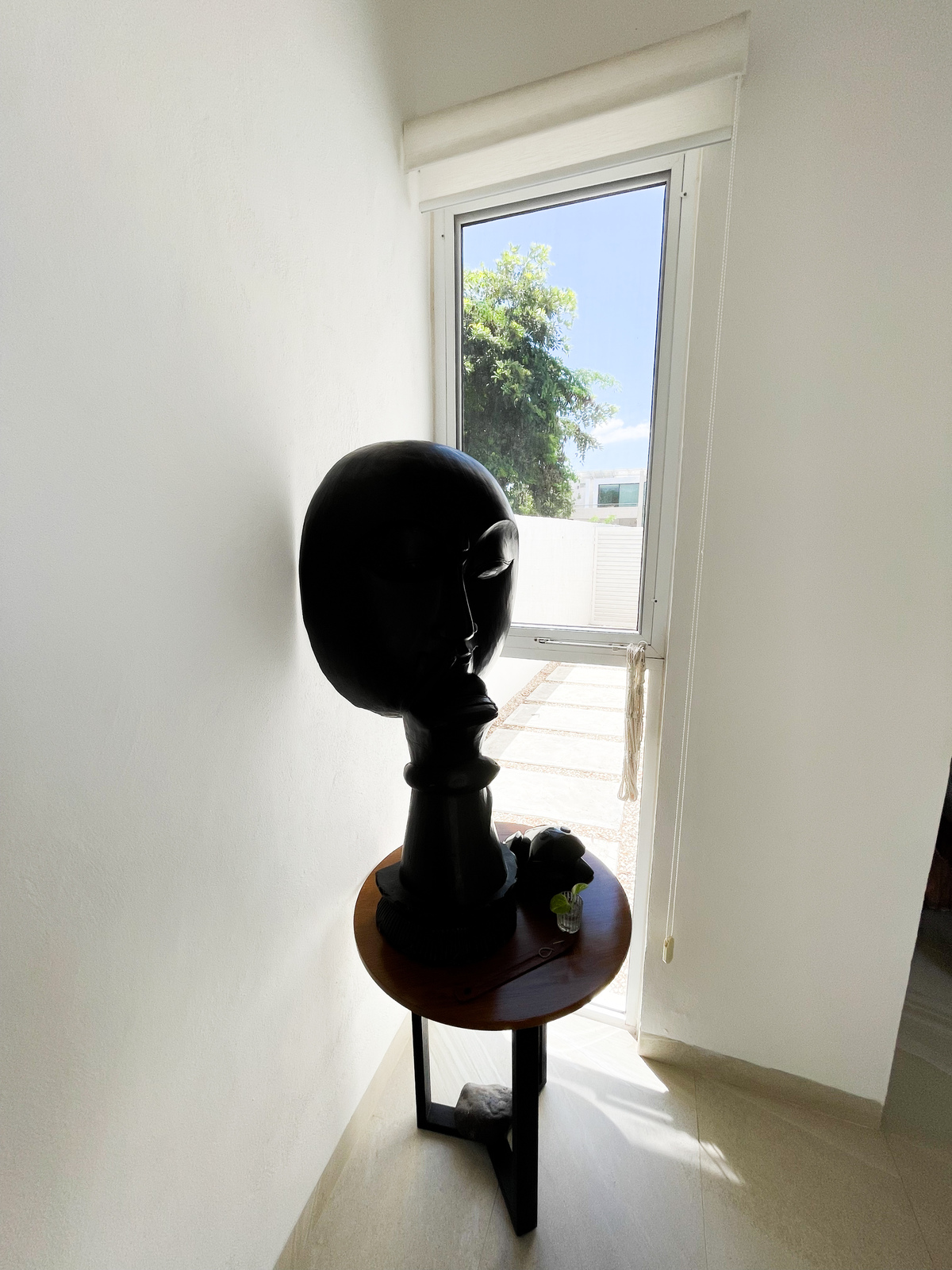 24 de 33: Pasillos laterales en ambos lados de la casa