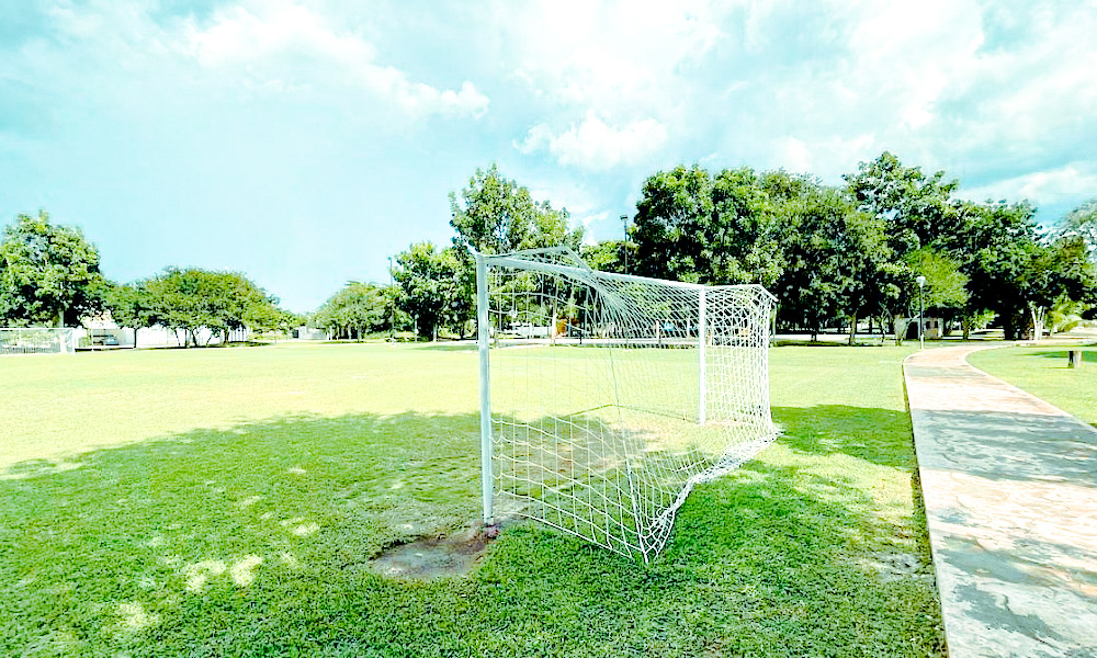 30 de 33: Canchas deportivas