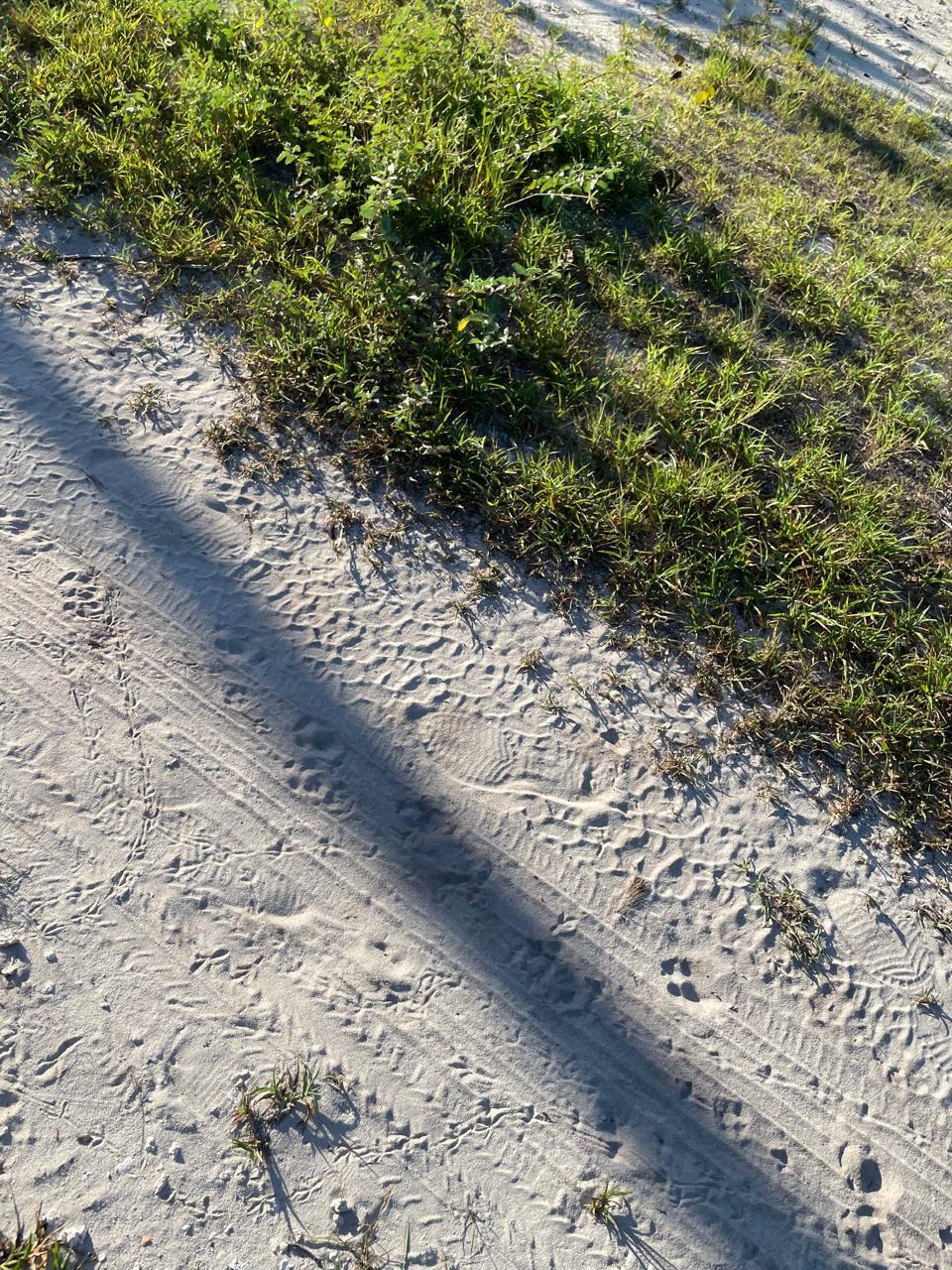 3 de 6