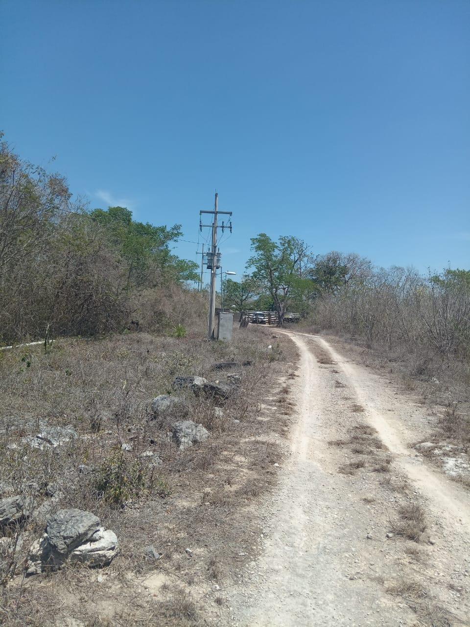 3 de 9