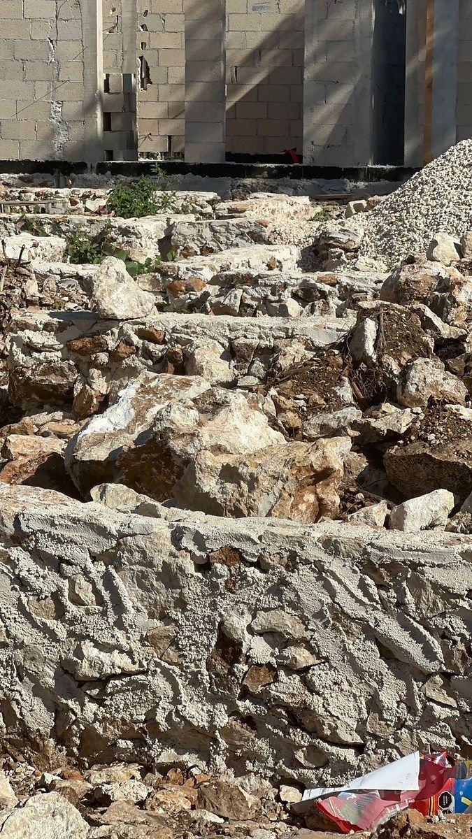 17 de 21: LIVIA AVANCE DE OBRA ENERO 2026