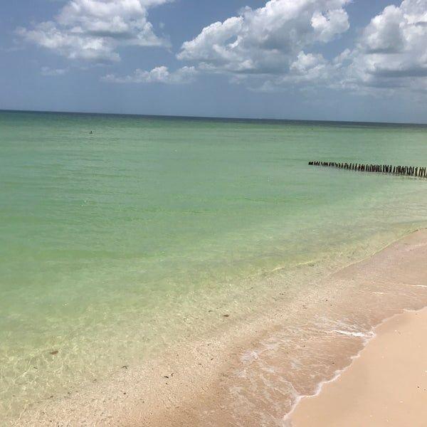 1 de 14