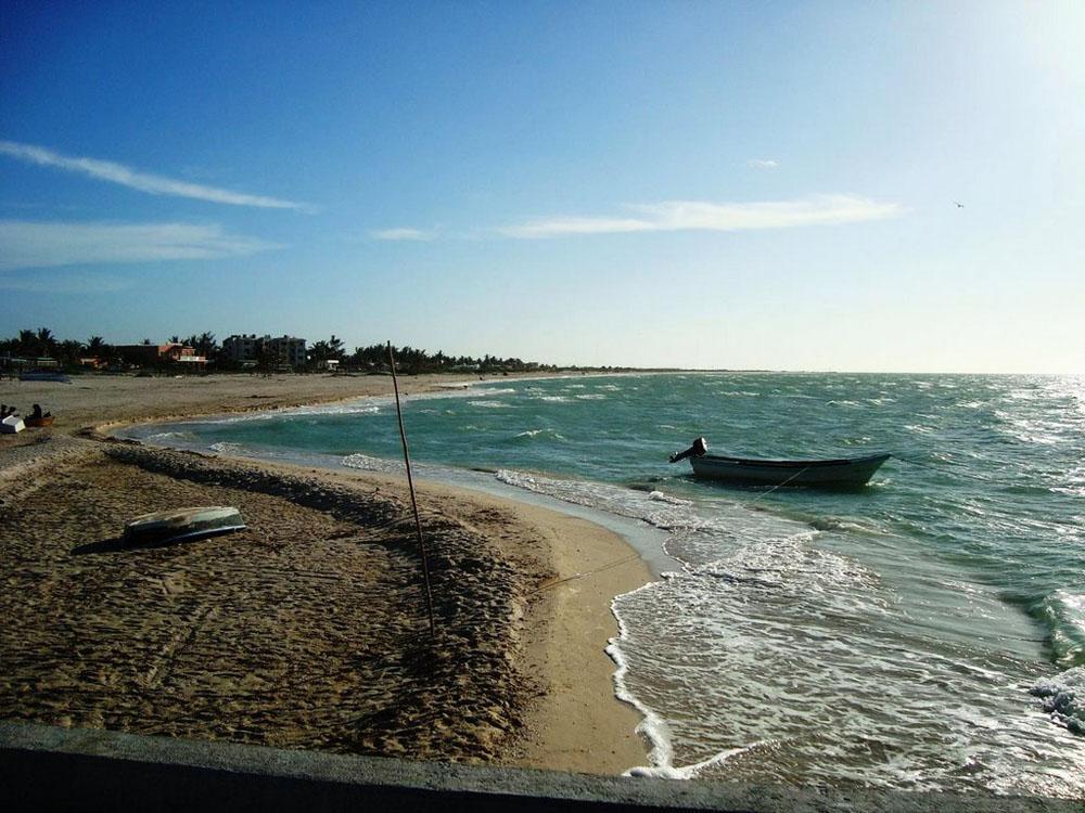 2 de 12