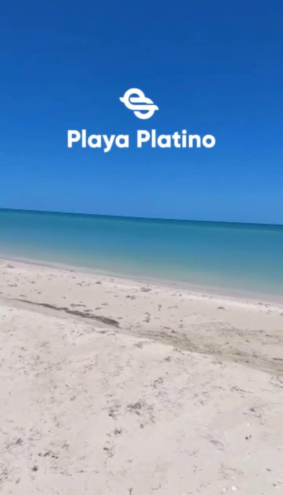 5 de 16