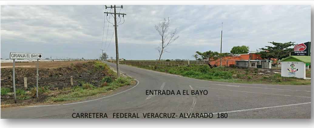 3 de 5