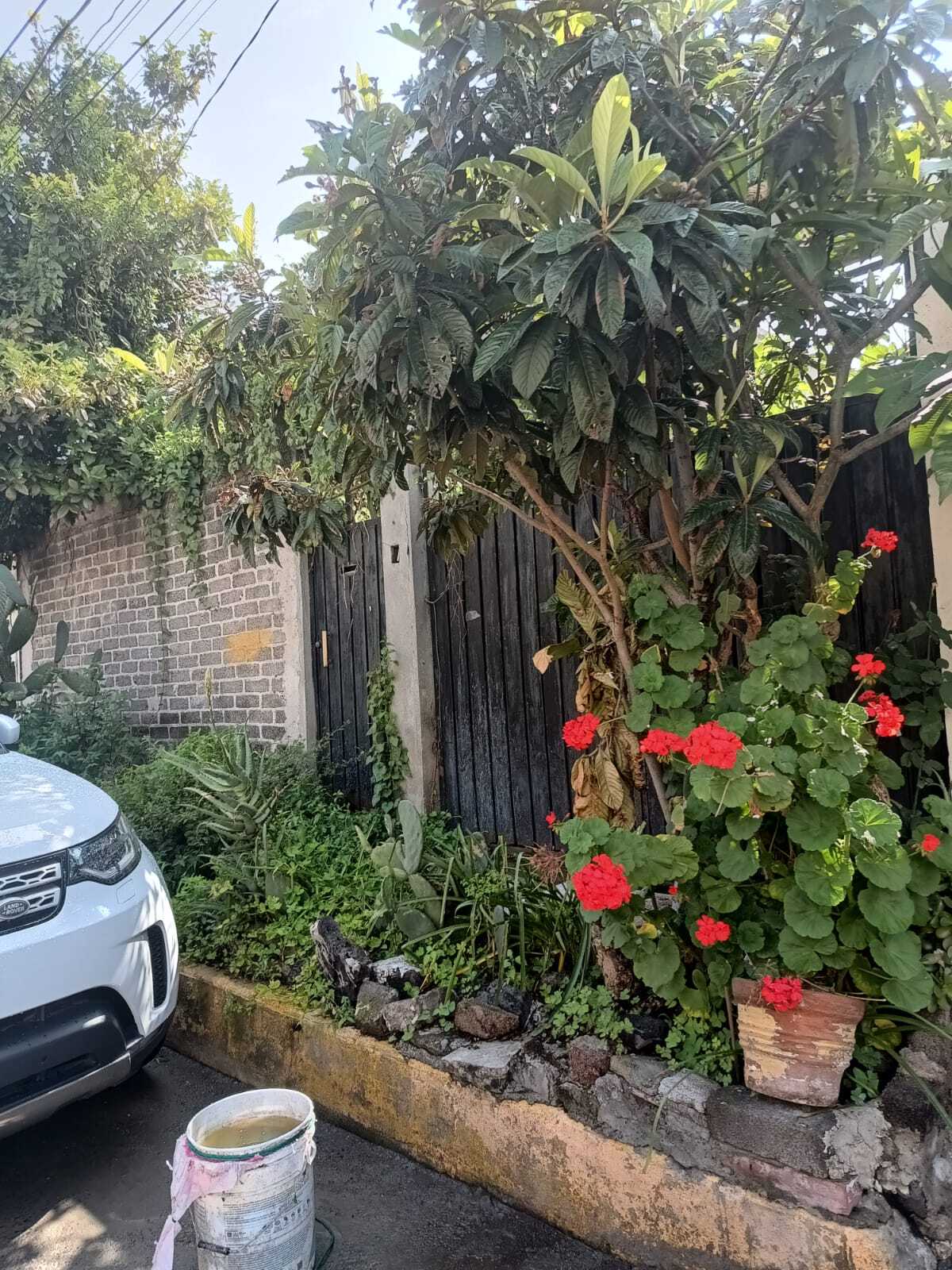 1 de 5: Terreno en Venta en Coyoacán Rayo Vende ®