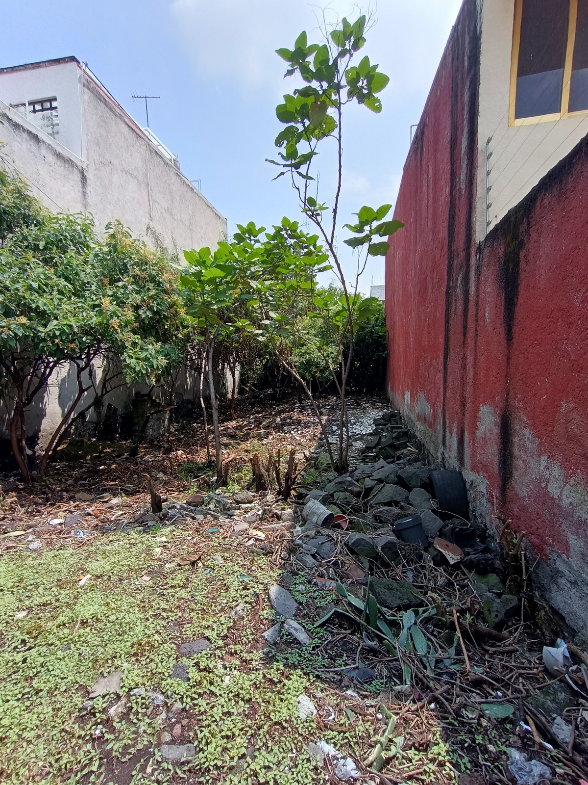 3 de 5: Terreno en Venta en Coyoacán Rayo Vende ®