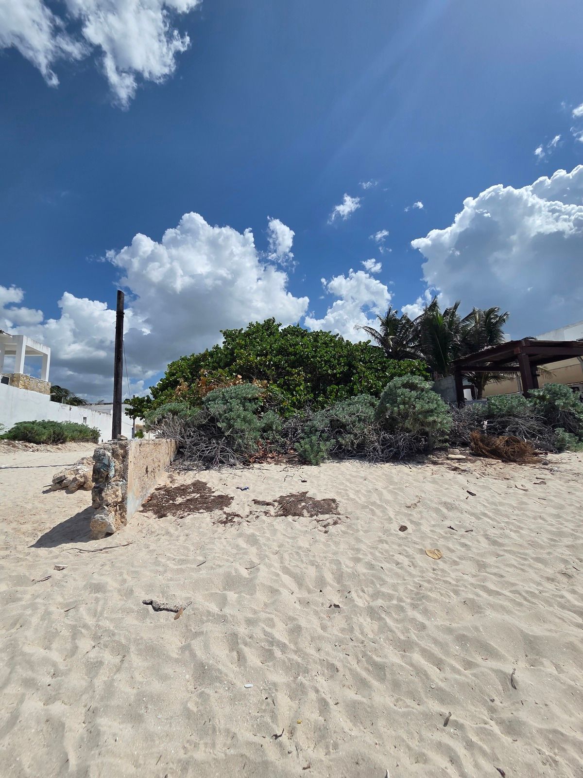 Venta de terreno en chicxulub puerto Frente al mar (beach front) - foto 1