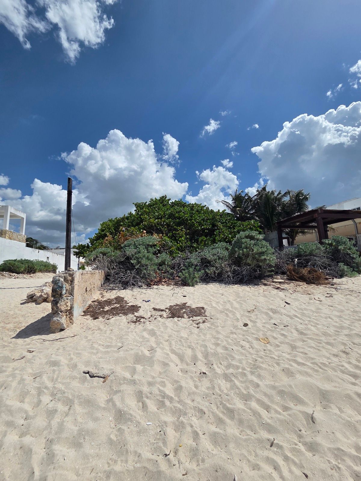 Venta de terreno en chicxulub puerto Frente al mar (beach front) - foto 2