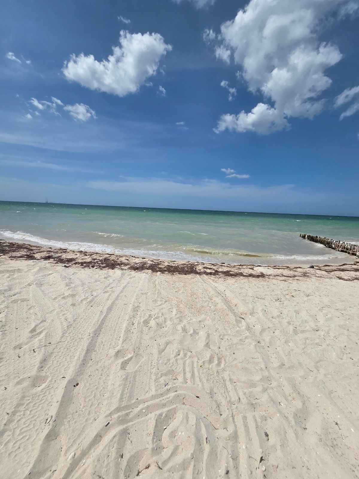 Venta de terreno en chicxulub puerto Frente al mar (beach front) - foto 5