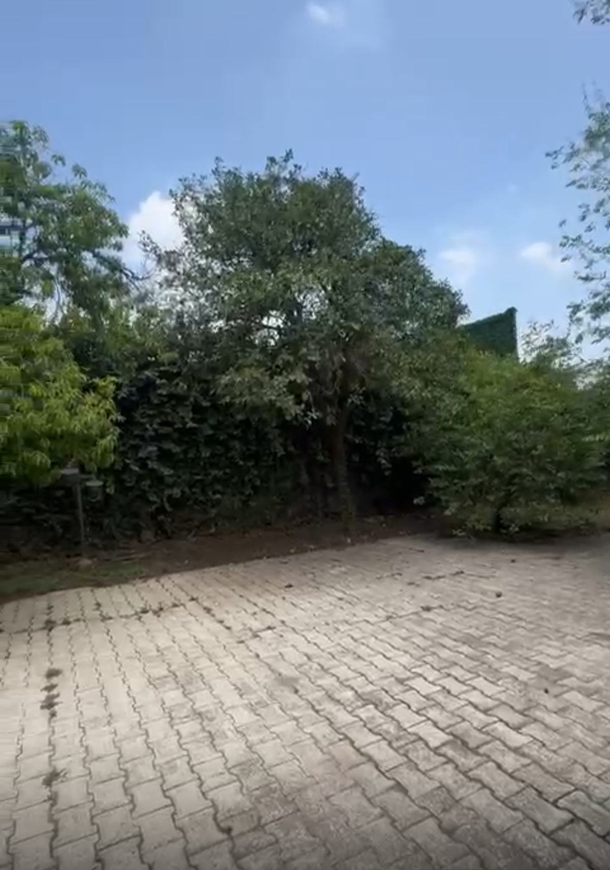 2 de 9