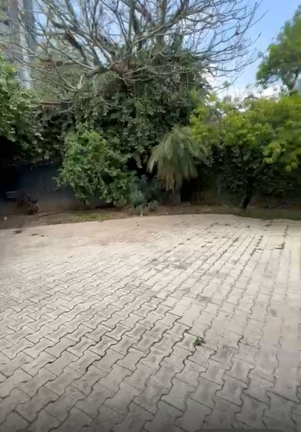 4 de 9