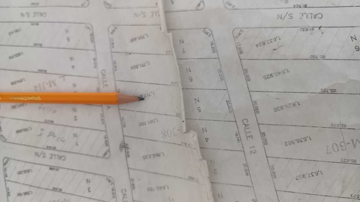 3 de 6