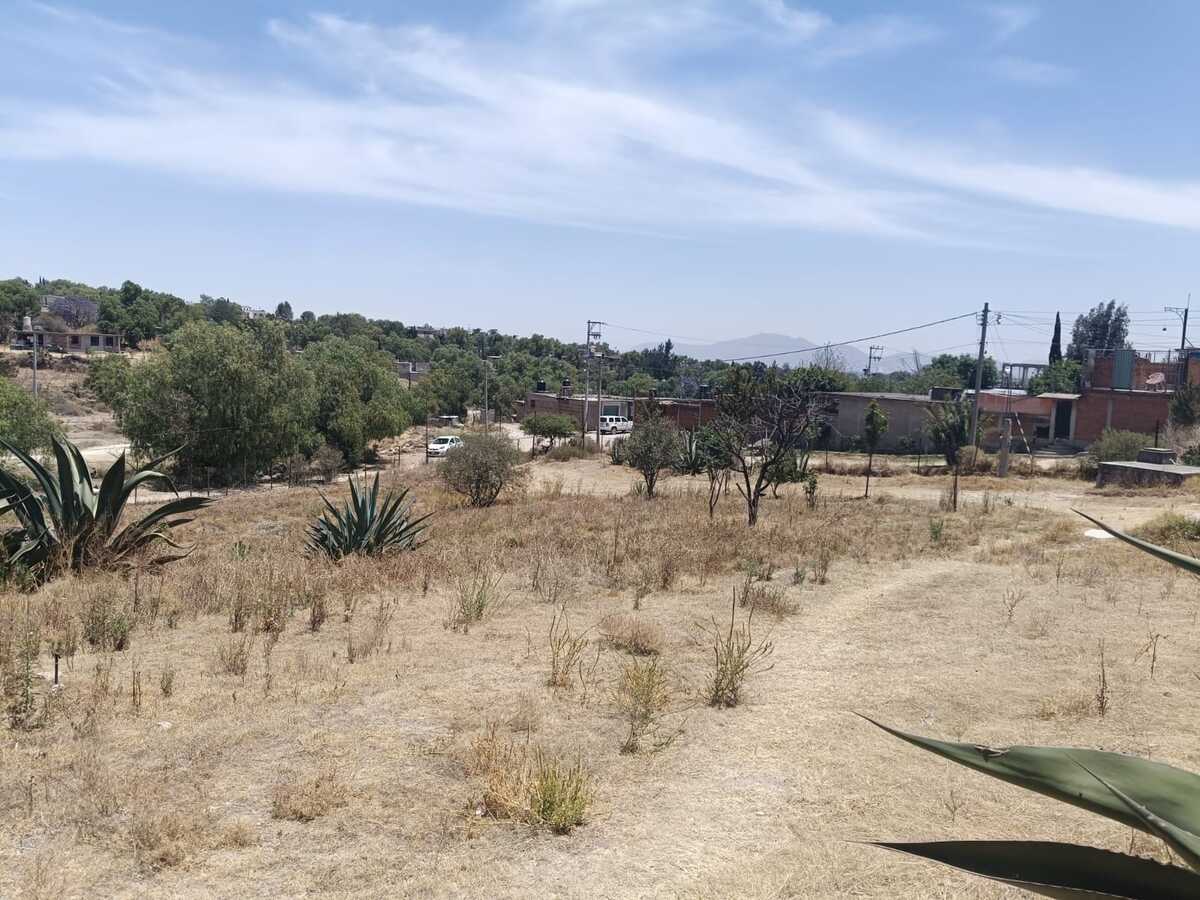 4 de 11