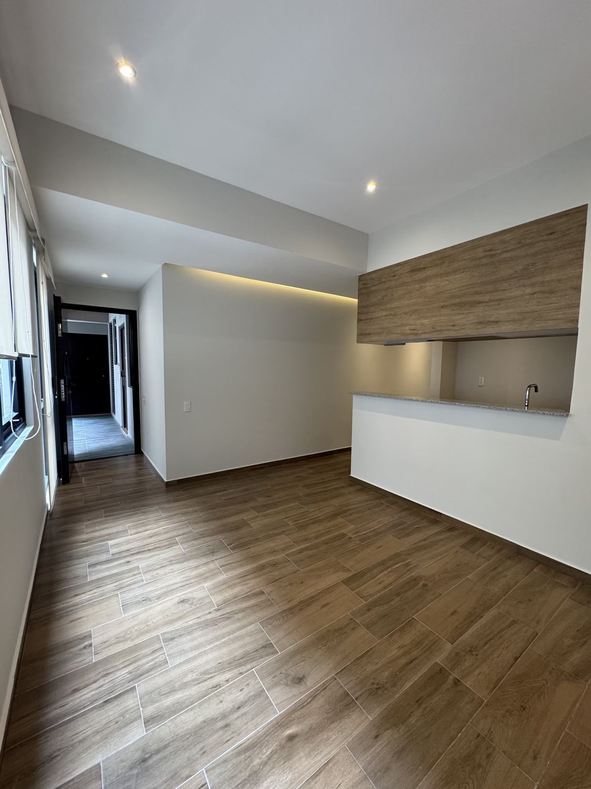 3 of 12: Estancia y comedor