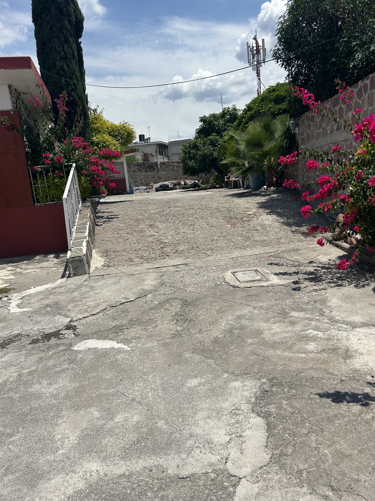 17 de 21
