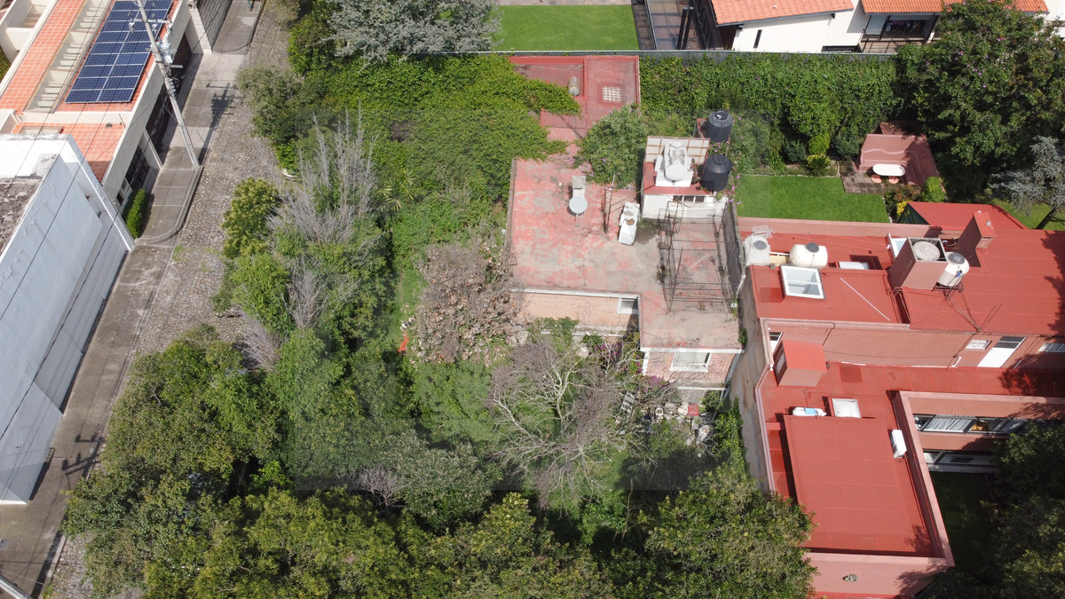 1 of 7: En San Angel