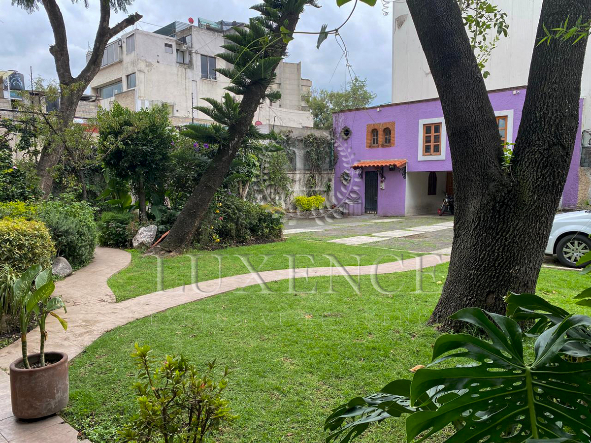 13 de 19