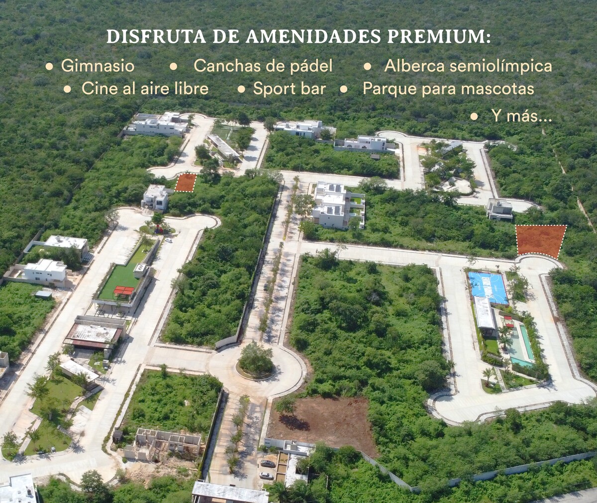 3 de 5