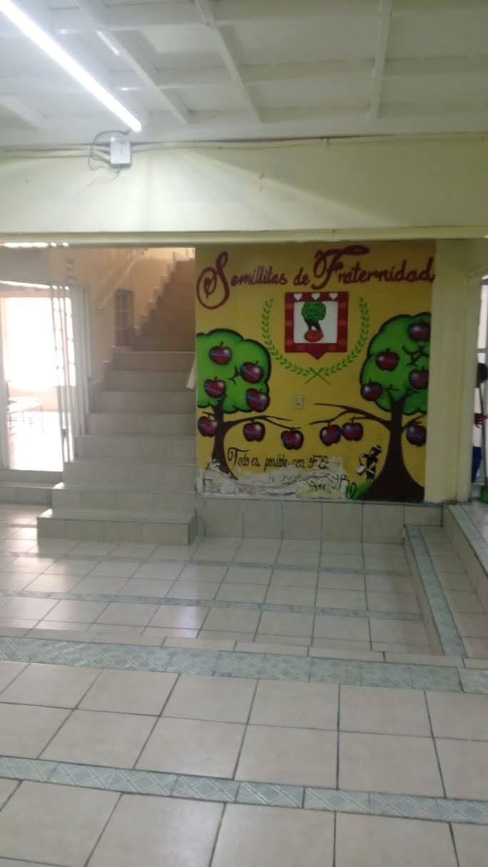 3 de 28