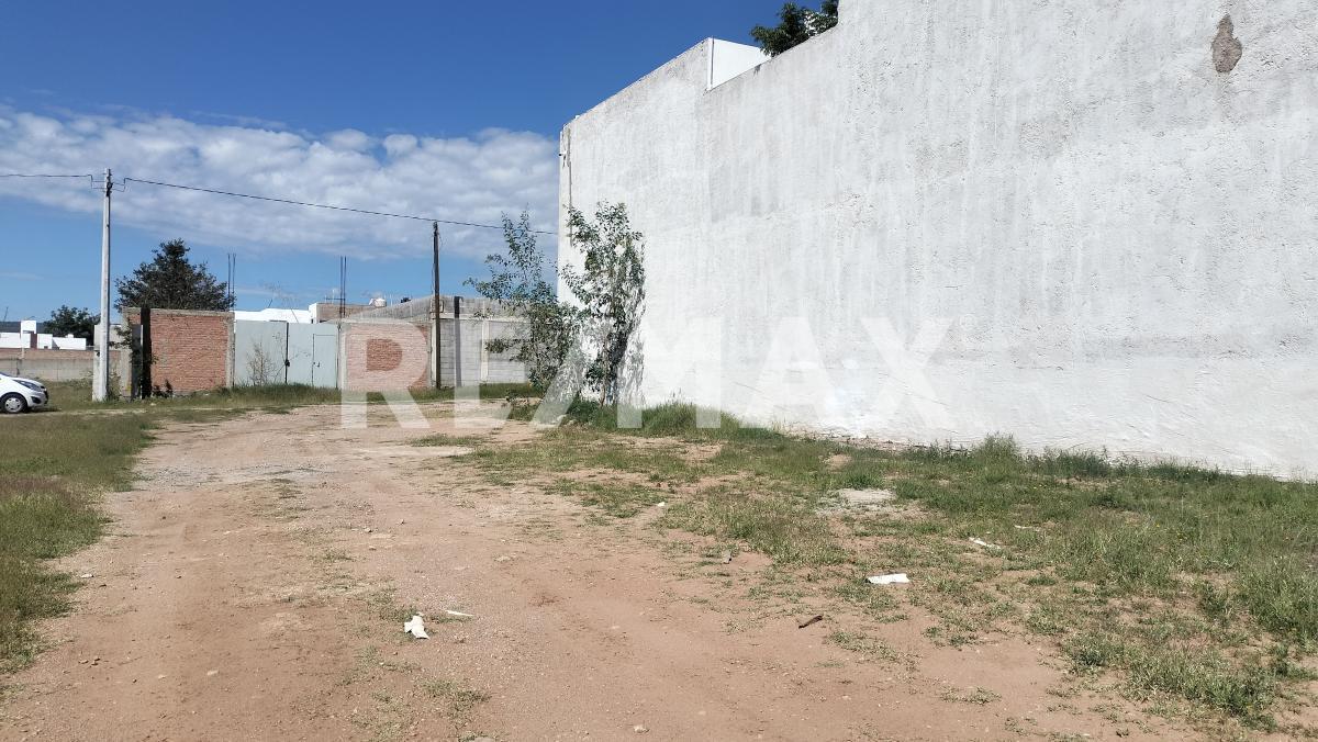 3 de 10