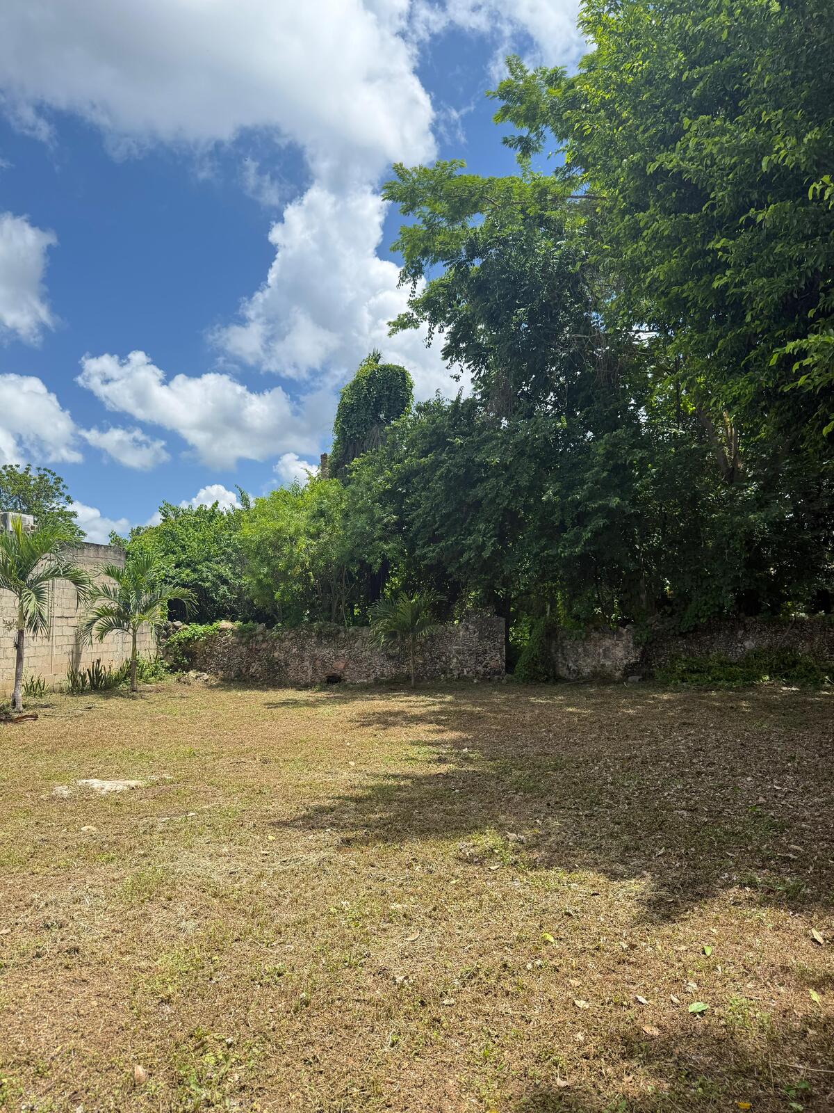 12 de 35
