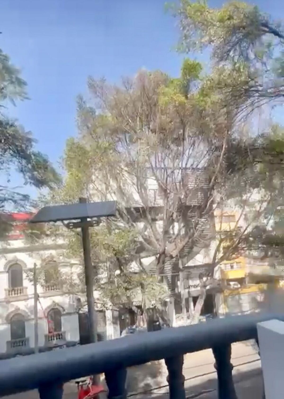 5 de 10