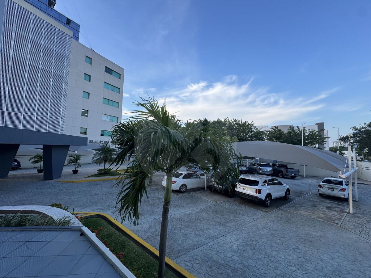 29 de 29