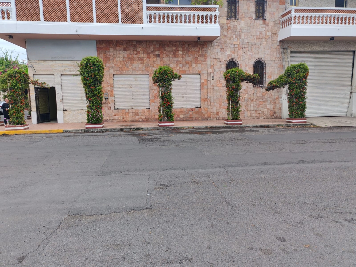 12 de 13