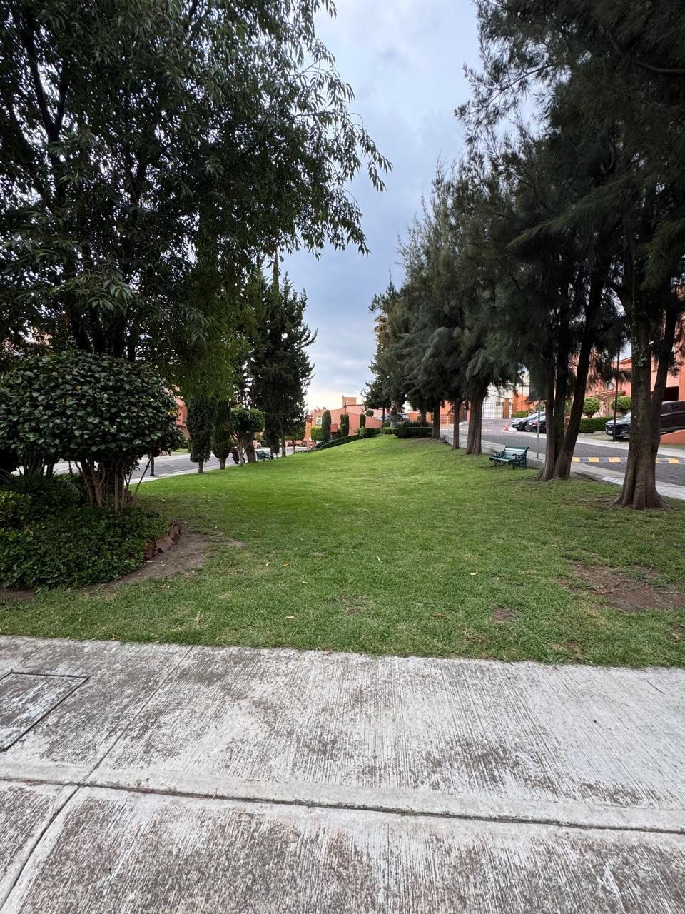 5 de 25