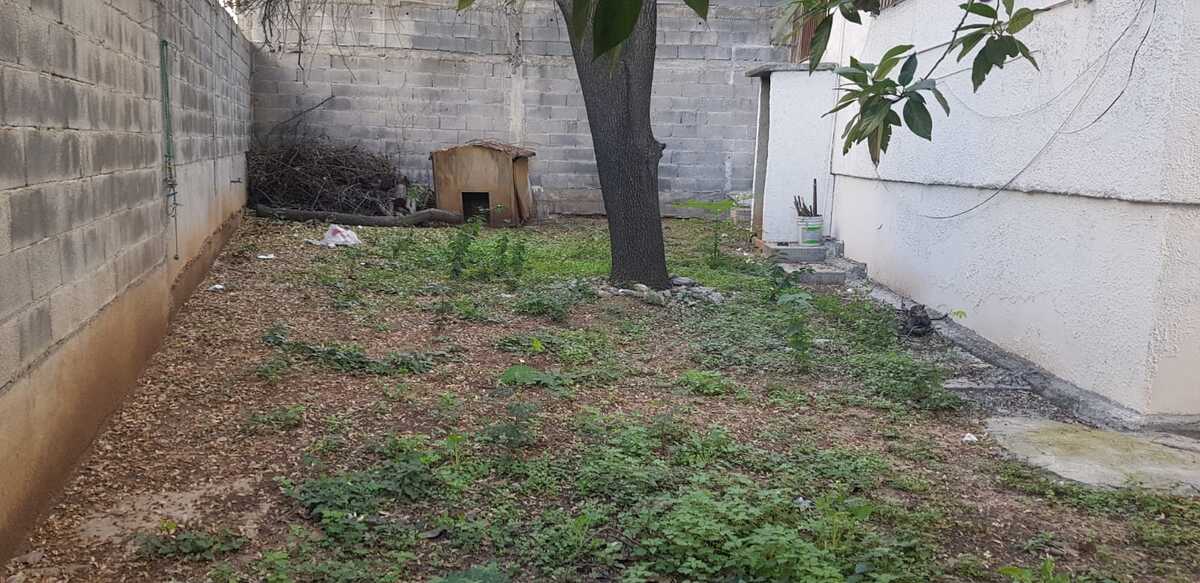 5 de 5