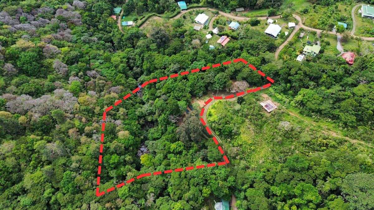 Serenity Garden 2.47 Acres Land, photo 1 of 23