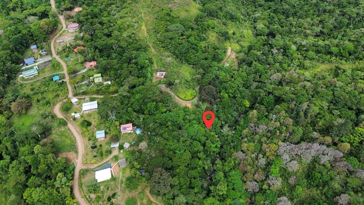 Land in Pérez Zeledón, photo 4 of 23